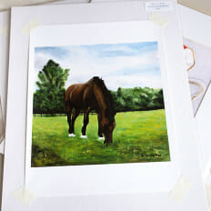 Grazing Socks - print