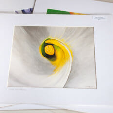 Calla from Above - print
