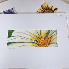 Sunny Daisy - print