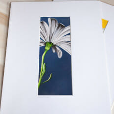 Hello Daisy - print