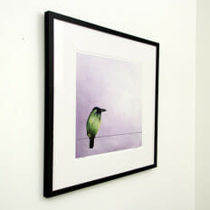 Mr. Green - framed limited edition left