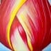Closed Tulip - original detailed view