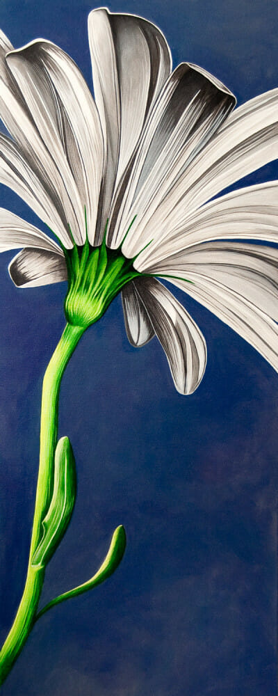 Hello Daisy - original