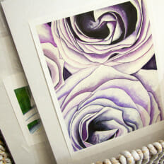 Purple Roses - print