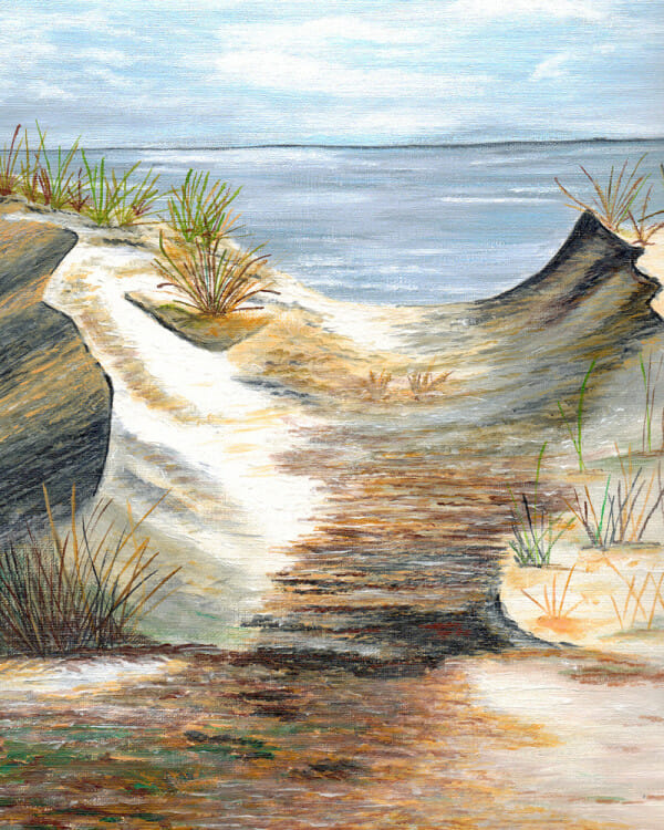 Beach Patch - original