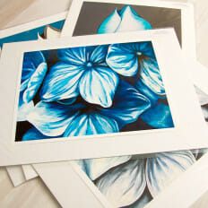 Sea of Hydrangeas - print
