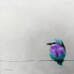 Pretty Birdy on a Wire - original