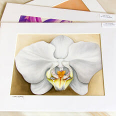 Lara's Orchid - print