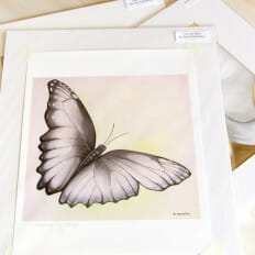 Spreading My Wings - print