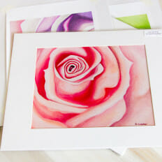 Pink Sweetheart Rose - print