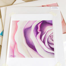 Purple Sweetheart Rose -print