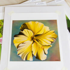 Yellow Hibiscus - print