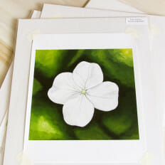 Sweet Delicate Hydrangea - print