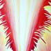 Large Fringed Tulip No. 2 - original detailed view