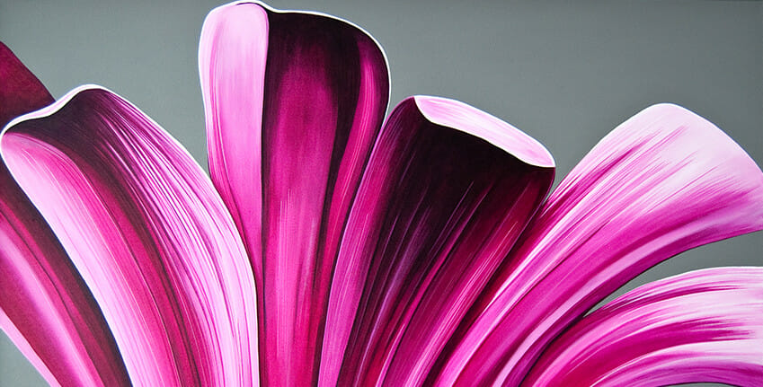 Pink + Gray - slideshow