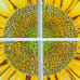 Large Lion Sun - original detailed view