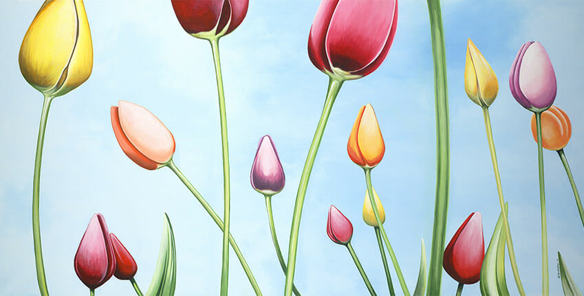 Tulip Landscape - slideshow