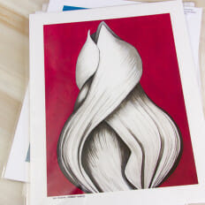 Red Closed Tulip - print