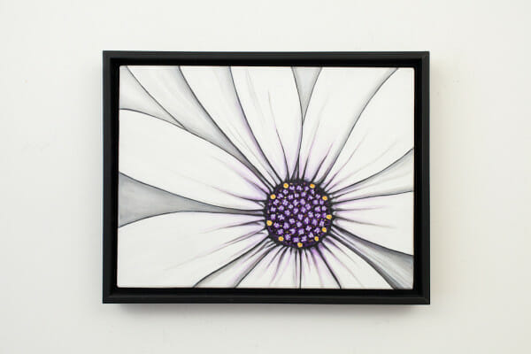 African Purple - original