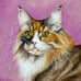 Delaney, the Maine Coon - original pet portrait