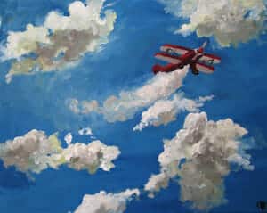 Airplane in the sky