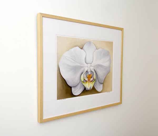 Lara's Orchid limited edition framed from left