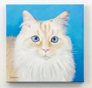 Frisky, the Kitty – original pet portrait Pet portrait of a french bulldog by artist Erica Eriksdotter