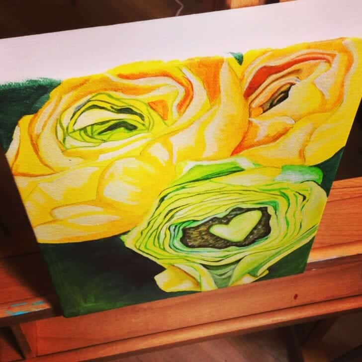 Yellow Ranunculus in progress