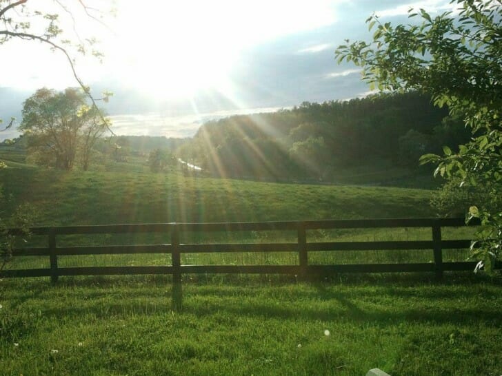 The view from Intra-Dimensional Healer, Cherie Hickman's backyard