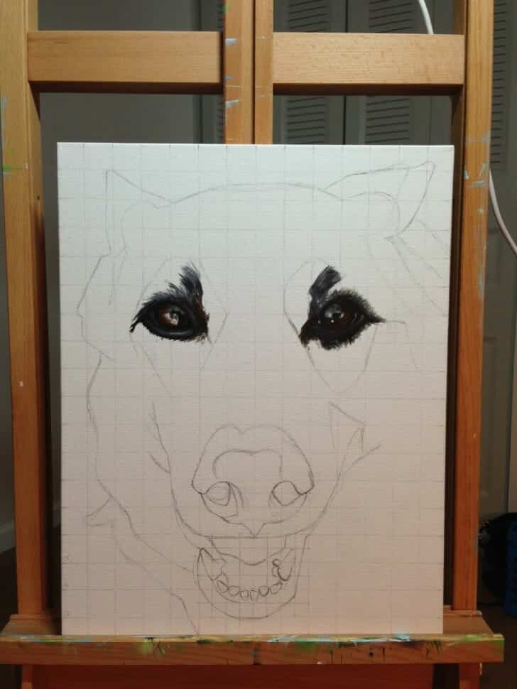 Pet portrait in progress