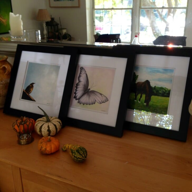 "Bird's View" "Spreading My Wings" and "Grazing Socks" fine art prints framed in 12x12 inches frames.