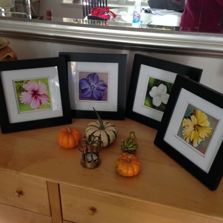 "Aloha Hibiscus" "Peri-Wink Wink" "Delicate Hydrangea" and "Yellow Hibiscus" as 5x5 inches prints - exclusive for the event - framed in 8x8 inches frames.