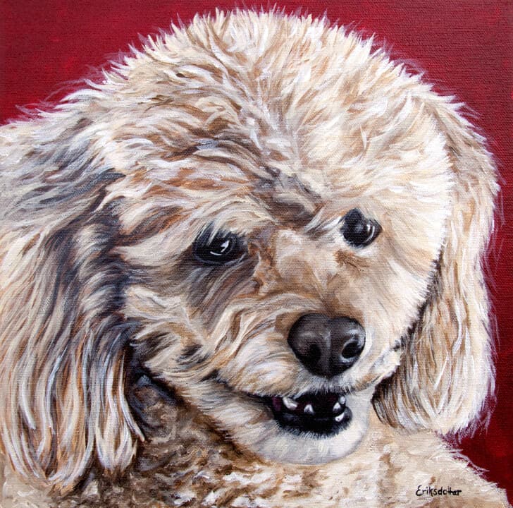 Cocoa's Portrait - Original pet portrait by Erica Eriksdotter