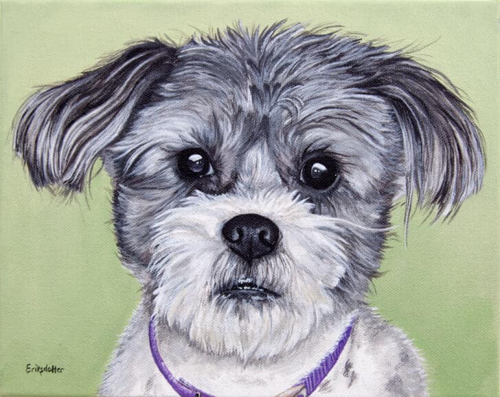 Gadget's Portrait - original pet portrait painting by Erica Eriksdotter