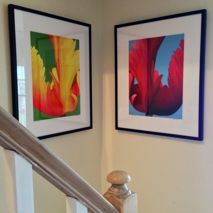 Yellow and Red June Limited Editions on the stairs
