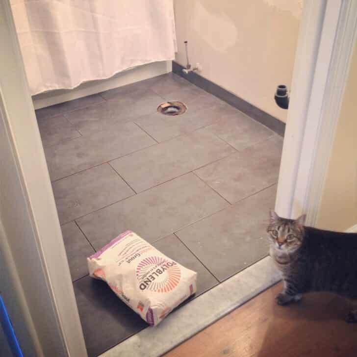 Bathroom renovation - new tiles!