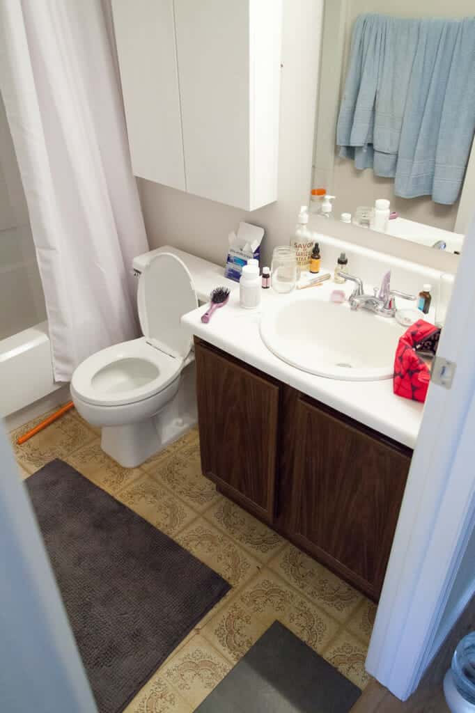 Bathrooms before