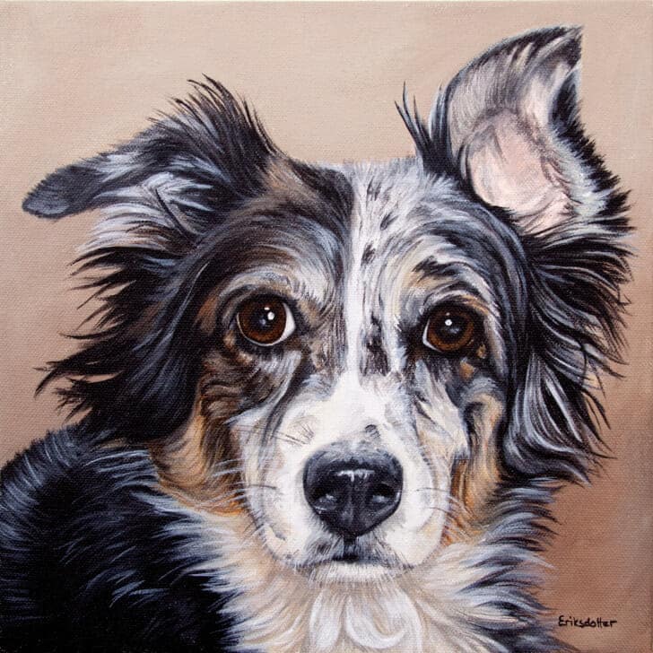 Original pet portrait of Dos by Erica Eriksdotter