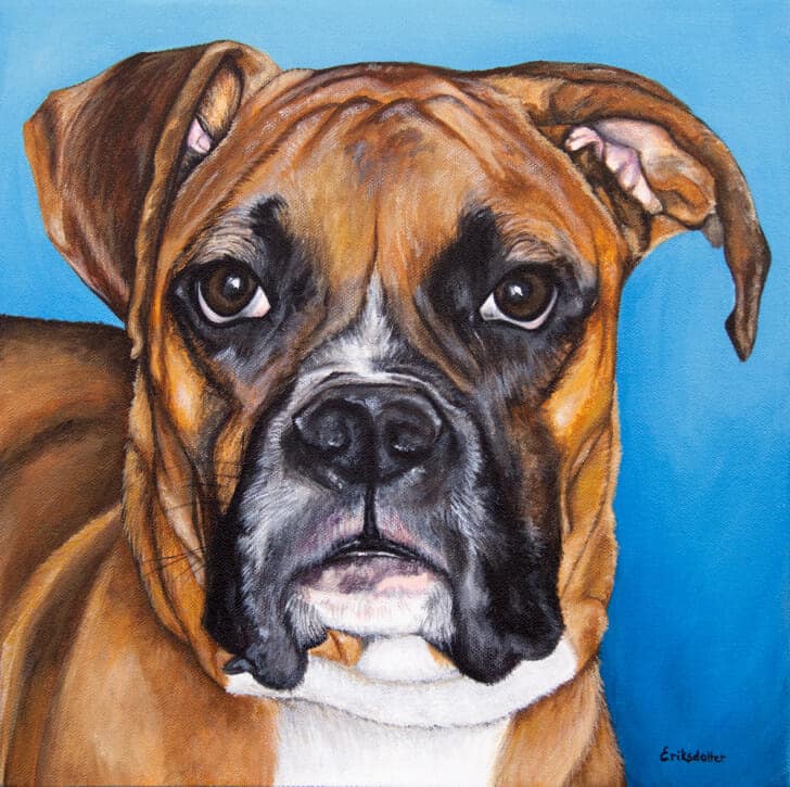 Original pet portrait of Berkley by Erica Eriksdotter, closeup