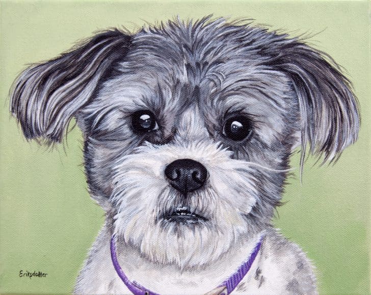 Gadget’s Pet Portrait – original painting by Erica Eriksdotter Pet portrait painting of a Shih Tzu and Jack Russel mix by fine arts painter Erica Eriksdotter