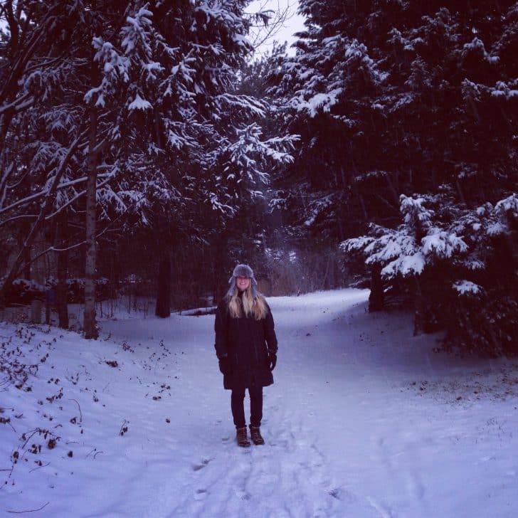Polar Vortex 2, 2014