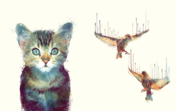 Illustrations "Cat // Aware" and "Awake" by Amy Hamilton