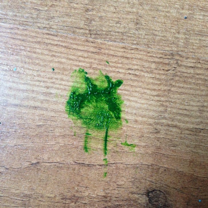 Tiny paw prints of paint in the studio