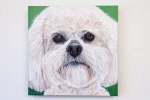 Boomer’s Portrait, original acrylic by Erica Eriksdotter Pet portrait of a french bulldog by artist Erica Eriksdotter