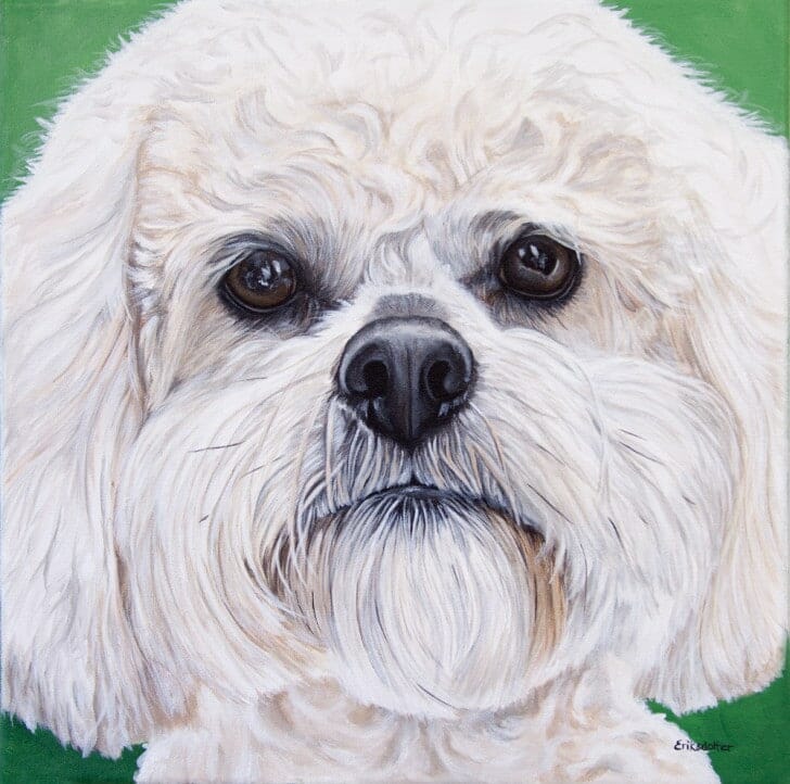 Boomer’s Portrait, original acrylic by Erica Eriksdotter Boomer's Portrait, original acrylic by Erica Eriksdotter