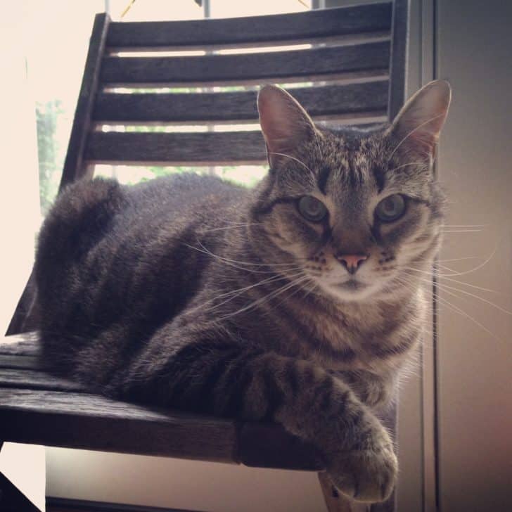 Lola during Psychic Awareness and Opening workshop