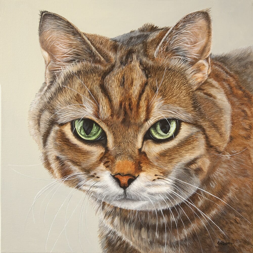 A pet portrait of a tabby cat by Erica Eriksdotter