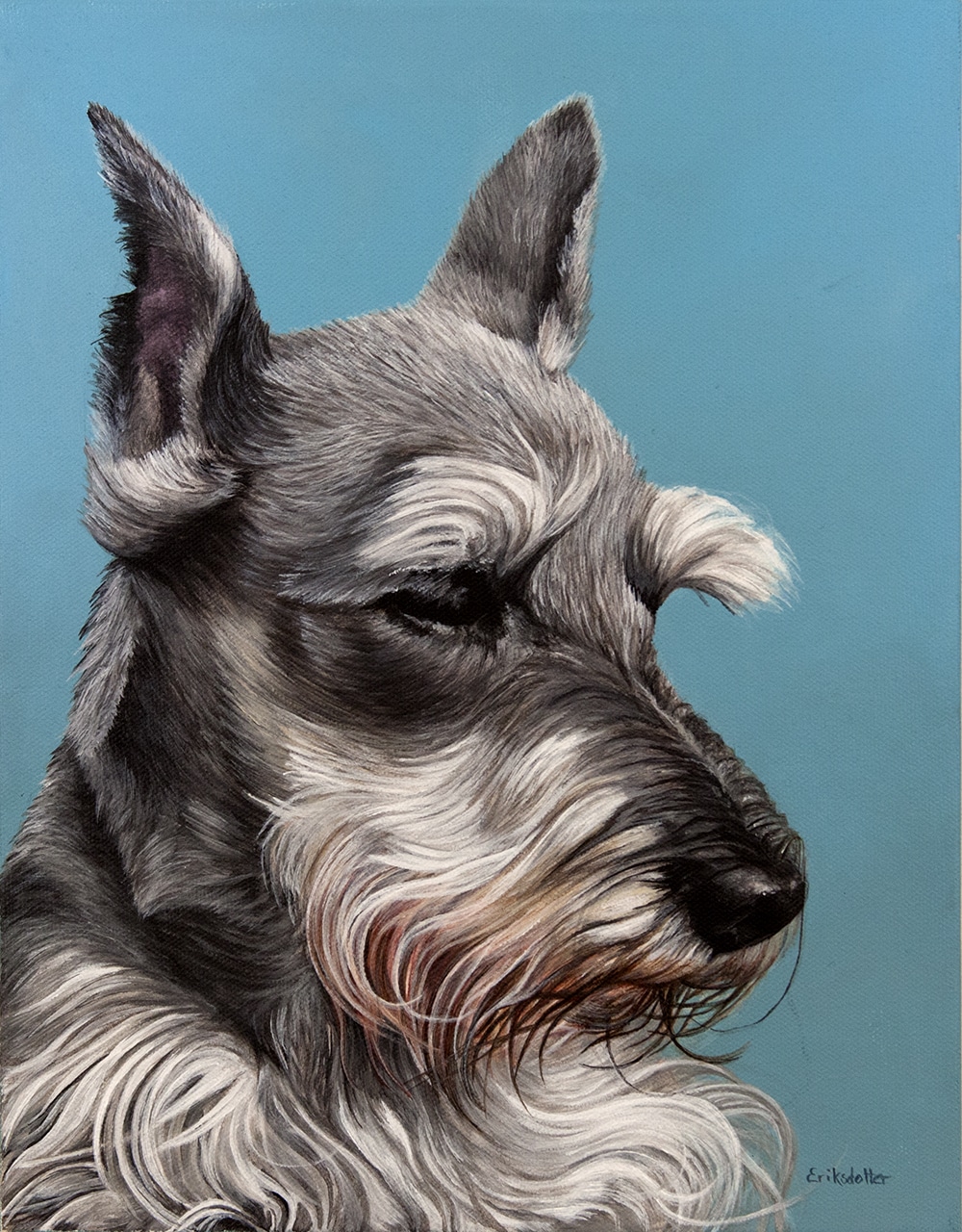IMG_0457-closeup-1000 Custom dog portrait of a schnauzer dog by fine arts painter Erica Eriksdotter