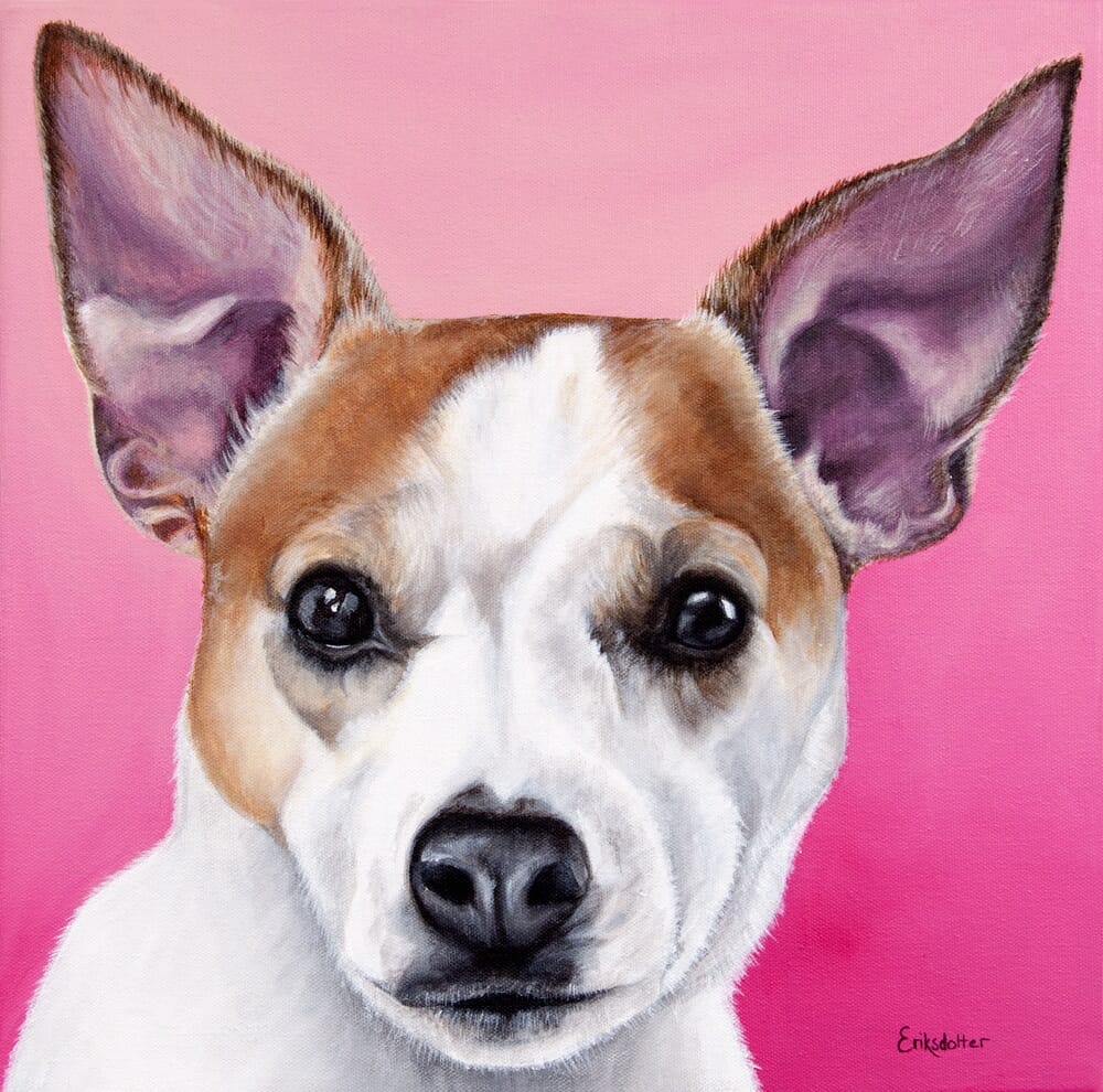 Custom dog portrait of a jack russell and chihuahua dog by fine arts painter Erica Eriksdotter, close up