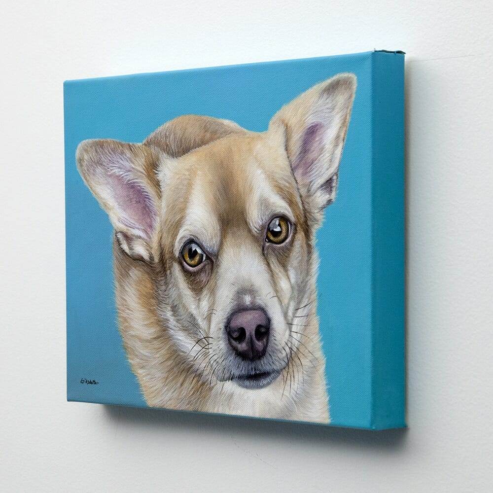 Custom dog painting of a corgi chihuahua mix by fine arts painter Erica Eriksdotter, specializing in custom pet portraits